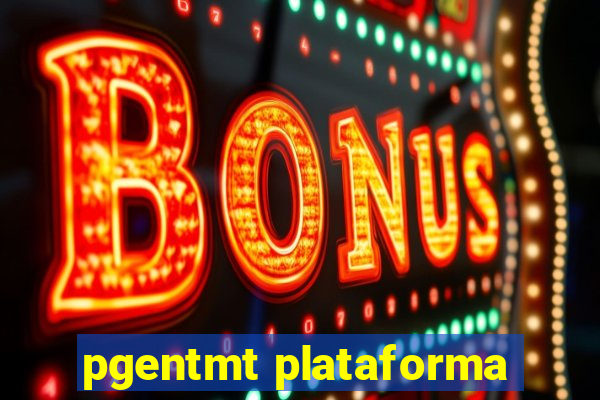 pgentmt plataforma